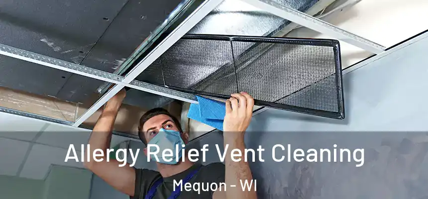 Allergy Relief Vent Cleaning Mequon - WI