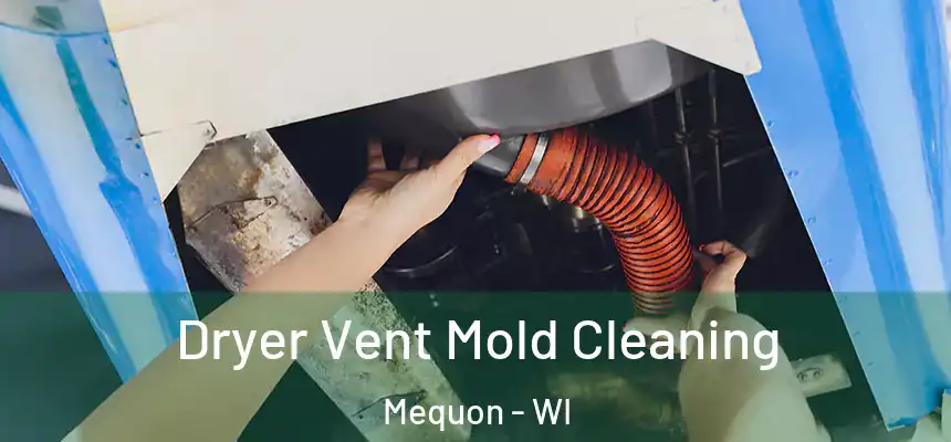  Dryer Vent Mold Cleaning Mequon - WI