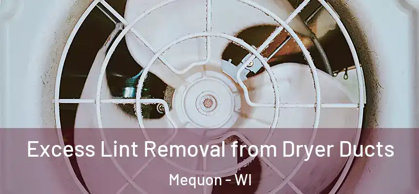  Excess Lint Removal from Dryer Ducts Mequon - WI