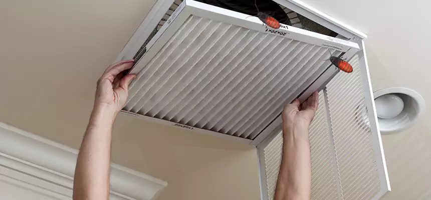 Preventive Cockroach-Proofing for Ducts in Mequon