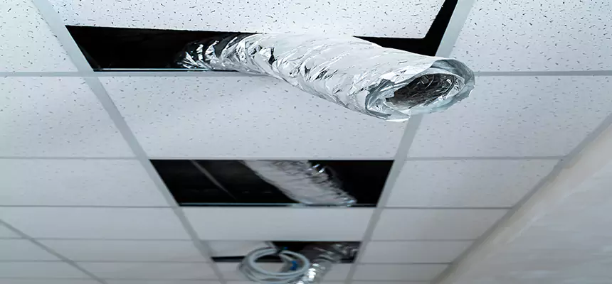 Our Air Duct Pet Hair Removal Services in Mequon, WI