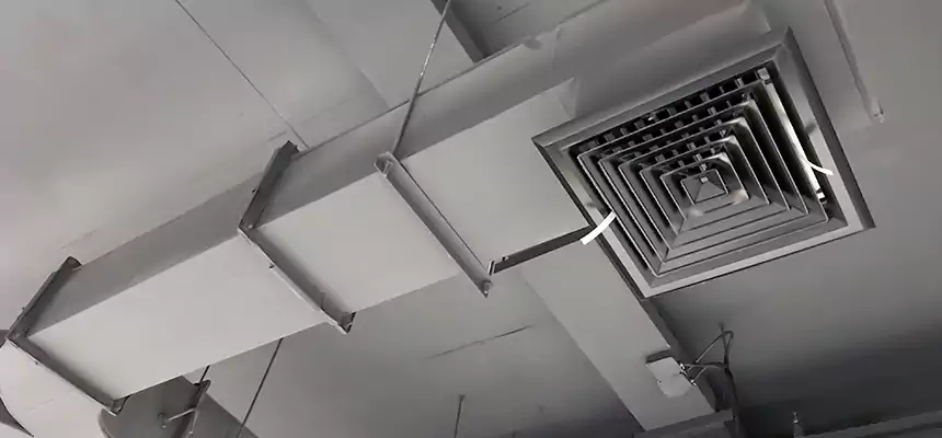 Restorative Allergy Relief Vent Cleaning – Coil, Blower & Housing Detail in Mequon