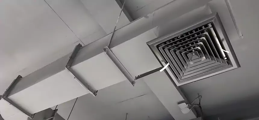 Our Pest Removal From Ducts Services in Mequon, WI