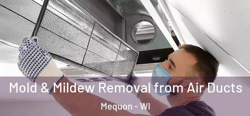  Mold & Mildew Removal from Air Ducts Mequon - WI