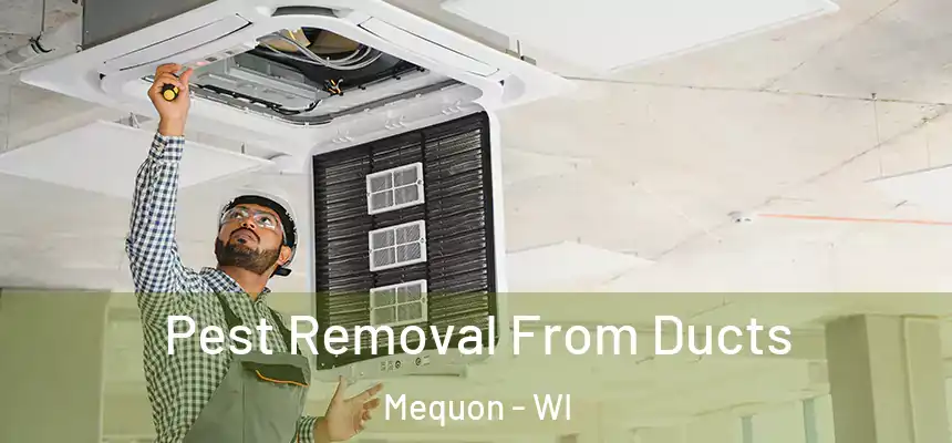  Pest Removal From Ducts Mequon - WI