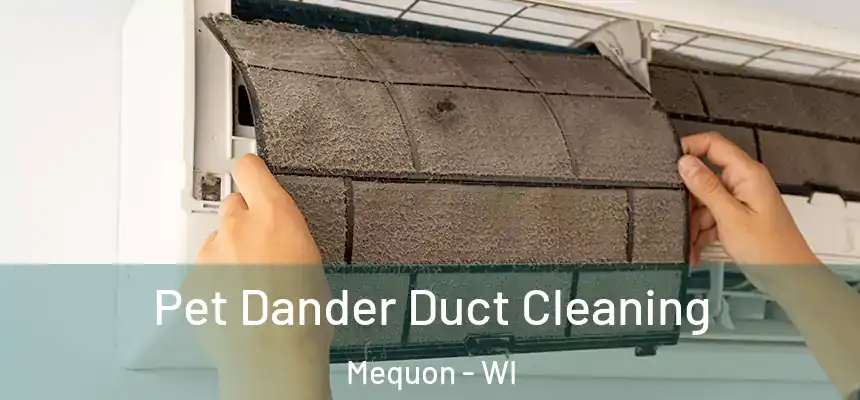  Pet Dander Duct Cleaning Mequon - WI