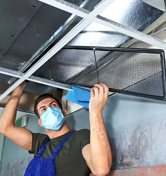 Professional Air Duct Pollen Cleaning in Mequon, WI