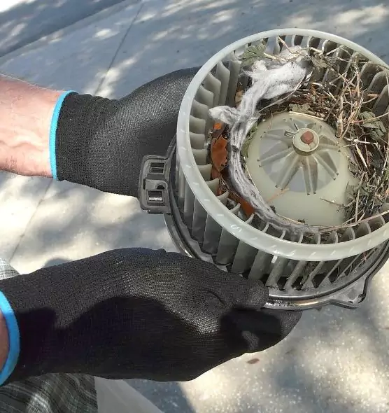 About Air Duct Rat Removal in Mequon, WI