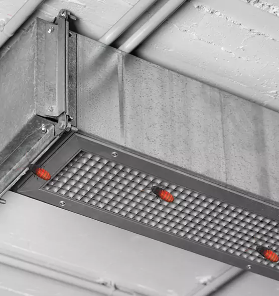 Affordable Insect Removal from Air Ducts in Mequon, WI