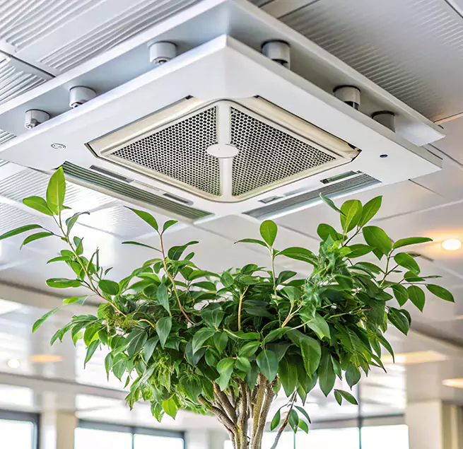 Why Homeowners & Businesses Trust Us in Mequon, WI?