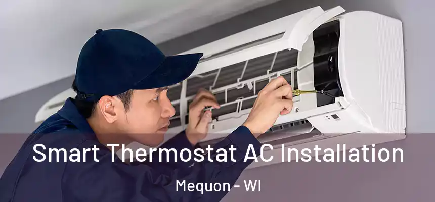 Smart Thermostat AC Installation Mequon - WI