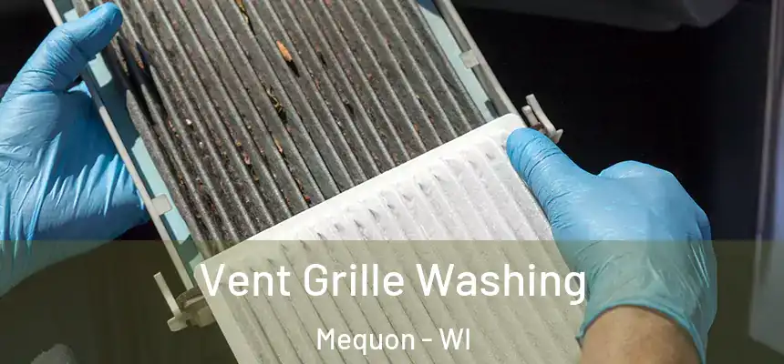  Vent Grille Washing Mequon - WI
